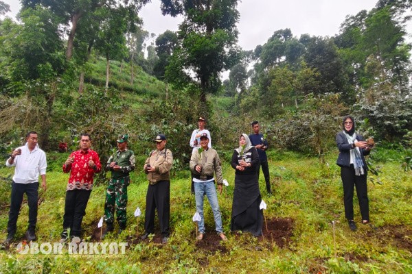 Situbondo, Obor Rakyat – Pemerintah Kabupaten (Pemkab) Situbondo bersama Perum Perhutani KPH Bondowoso terus mendorong penguatan ekonomi lokal berbasis potensi kawasan hutan melalui penanaman bibit kopi unggulan jenis Yellow Cattura di kawasan wisata Plaza Rengganis, Minggu (22/6/2025).