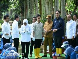 Wapres Gibran Petik Kopi di Bondowoso, Serap Aspirasi Petani dan Serahkan Bantuan