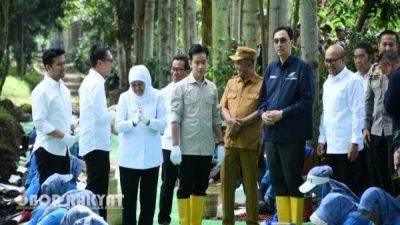 Wapres Gibran Petik Kopi di Bondowoso, Serap Aspirasi Petani dan Serahkan Bantuan