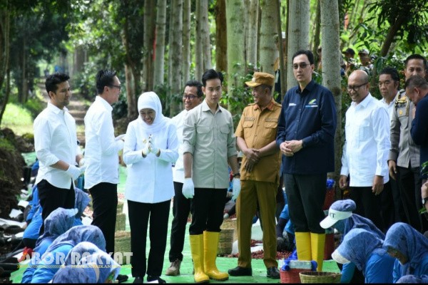 Bondowoso, Obor Rakyat – Wakil Presiden (Wapres) Republik Indonesia, Gibran Rakabuming Raka, melakukan kunjungan kerja ke Kebun Kopi Kalisat Jampit, Kecamatan Ijen, Kabupaten Bondowoso, Jawa Timur, pada Selasa (24/6/2025).
