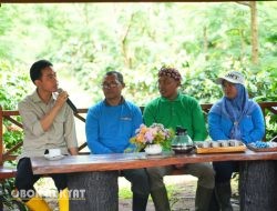 Wapres Gibran Panen Raya Kopi di Bondowoso, Dorong Petani Naik Kelas dan Tembus Pasar Global