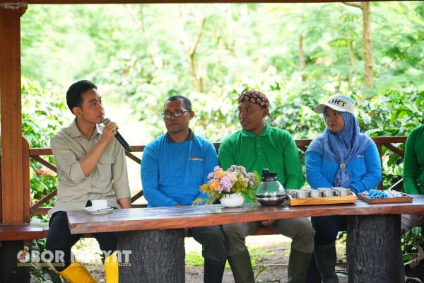 Bondowoso, Obor Rakyat – Wakil Presiden (Wapres) RI Gibran Rakabuming Raka mengunjungi panen raya kopi di kawasan Perkebunan Ijen Kalisat, Bondowoso, Jawa Timur, Selasa (24/6/2025).