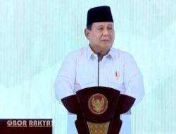 Prabowo Resmikan Proyek Energi Terbarukan di 15 Provinsi, Dorong Elektrifikasi Nasional