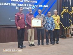 Beras Sintanur Lembah Raung Bondowoso Resmi Kantongi Sertifikat Indikasi Geografis dari Kemenkumham