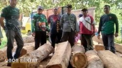 72 Kayu Jati Ilegal Diamankan di Pesanggaran Banyuwangi, Diduga Hasil Pembalakan dari Hutan Produksi