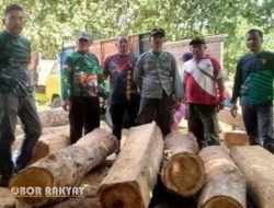 72 Kayu Jati Ilegal Diamankan di Pesanggaran Banyuwangi, Diduga Hasil Pembalakan dari Hutan Produksi