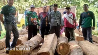 72 Kayu Jati Ilegal Diamankan di Pesanggaran Banyuwangi, Diduga Hasil Pembalakan dari Hutan Produksi