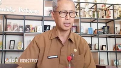 Beras Sintanur Lembah Raung Bondowoso Resmi Kantongi Sertifikat Indikasi Geografis, Ini Harapan Kepala DPKP
