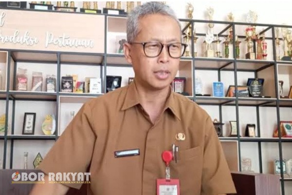 Bondowoso, Obor Rakyat – Kabar membanggakan datang dari sektor pertanian Kabupaten Bondowoso. Beras Sintanur Lembah Raung resmi mendapatkan Sertifikat Indikasi Geografis (IG) dari Kementerian Hukum dan HAM Republik Indonesia.