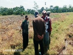 Sengketa Lahan di Ajung Jember, Tanah Milik Sukartini Masih Dalam Pengawasan PN