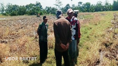 Sengketa Lahan di Ajung Jember, Tanah Milik Sukartini Masih Dalam Pengawasan PN