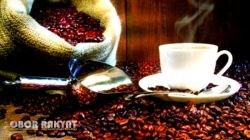 Kopi Arabica Ijen Raung Bondowoso Diakui Dunia, Warisan Rasa dari Pegunungan Jawa Timur