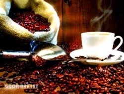 Kopi Arabica Ijen Raung Bondowoso Diakui Dunia, Warisan Rasa dari Pegunungan Jawa Timur