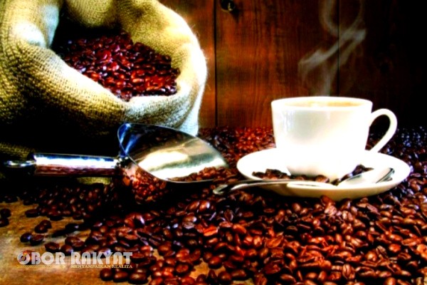 Kopi raung ijen