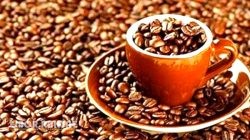 8 Biji Kopi Terbaik di Indonesia, dari Gayo hingga Wamena: Cita Rasa Lokal Mendunia