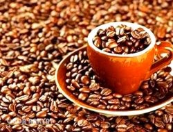 8 Biji Kopi Terbaik di Indonesia, dari Gayo hingga Wamena: Cita Rasa Lokal Mendunia