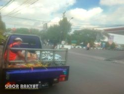 Diduga Tak Berizin, Pemasangan Tiang WiFi Linknet di Simokerto Disorot Kasi Trantib dan Satpol PP