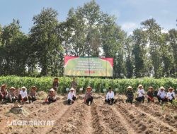 Kapolri dan Menteri Pertanian Pimpin Penanaman Jagung Serentak Nasional, Jember Ambil Bagian di Tempurejo