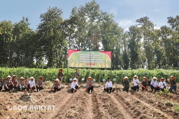 Jember, Obor Rakyat – Desa Sidodadi, Kecamatan Tempurejo, Kabupaten Jember menjadi salah satu lokasi strategis dalam kegiatan penanaman jagung serentak nasional yang dilaksanakan pada Rabu pagi (9/7/ 2025).