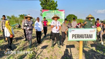 Perhutani Dukung Asta Cita, Hadiri Penanaman Jagung Serentak Kuartal III di Situbondo