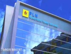 Tommy Darmadi Resmi Jabat Komisaris PLN Icon Plus, Bawa Pengalaman dari GP Ansor dan Dunia Telekomunikasi