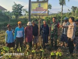 Polsek Tenggarang Tertibkan Anak Bermain Layangan di Sawah, Petani Tembakau Merugi