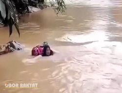 Bidan di Pasaman Pertaruhkan Nyawa, Berenang Seberangi Sungai Deras Demi Selamatkan Pasien