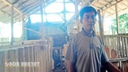 Eks Kades Kerang Siap Pimpin Lagi, Fokus Tuntaskan Program Air Bersih dan Peternakan hingga 2027