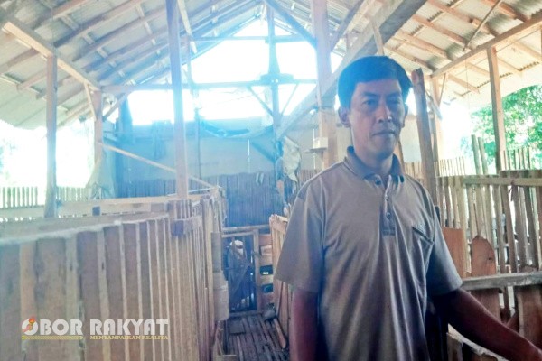 Bondowoso, Obor Rakyat – Setelah terbitnya Surat Edaran (SE) dari Kementerian Dalam Negeri (Kemendagri) terkait perpanjangan masa jabatan kepala desa, Eko Purwantoro, mantan Kepala Desa (Kades) Kerang, Kecamatan Sukosari, Kabupaten Bondowoso, menyatakan kesiapannya untuk kembali memimpin desa hingga tahun 2027.