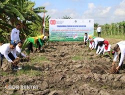 Lapas Banyuwangi Tanam 280 Bibit Kelapa Dukung Program Ketahanan Pangan Nasional