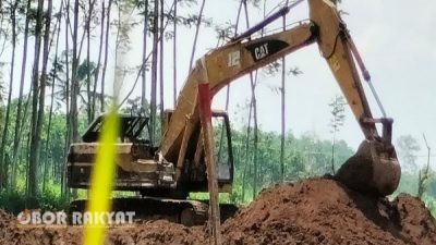 Investor Diduga Dirikan Peternakan Ayam Petelur di Kawasan Cagar Budaya Bondowoso, Picu Polemik