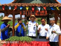Panen Perdana Kacang Panjang, Lapas Banyuwangi Perkuat Program Ketahanan Pangan