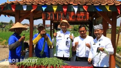 Panen Perdana Kacang Panjang, Lapas Banyuwangi Perkuat Program Ketahanan Pangan