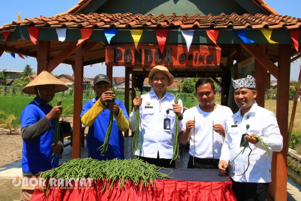 Banyuwangi, Obor Rakyat – Lembaga Pemasyarakatan (Lapas) Kelas IIA Banyuwangi kembali menunjukkan keseriusannya dalam mendukung program ketahanan pangan nasional. Kali ini, Lapas berhasil melakukan panen perdana kacang panjang di Lahan Sarana Asimilasi dan Edukasi (SAE) Pakis, Senin (25/8/2025).