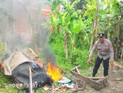 Polisi Bubarkan Arena Sabung Ayam di Sukodono Sidoarjo, Sarana Judi Dibakar
