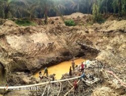 Tambang Emas Ilegal di Mandailing Natal Diduga Dibekingi Oknum Aparat, Korban Jiwa Terus Berjatuhan