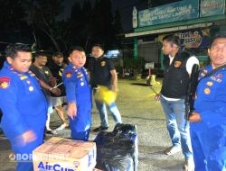 Polri Gagalkan Penyelundupan 50 Ribu Benih Lobster Ilegal, Kerugian Negara Capai Rp7,5 Miliar