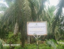 Vonis 10 Tahun Penjara, Akuang Belum Ditahan dan Masih Panen Sawit di Lahan Sitaan