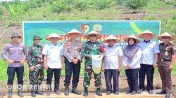 Kodim 0416/Bungo Tebo Tanam 45 Ribu Cabai Merah untuk Kendalikan Inflasi di Kabupaten Bungo