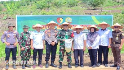 Kodim 0416/Bungo Tebo Tanam 45 Ribu Cabai Merah untuk Kendalikan Inflasi di Kabupaten Bungo