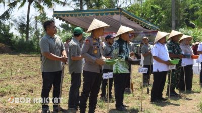 Polres Bondowoso Tanam Jagung di 8 Hektar Lahan: Dukung Ketahanan Pangan Nasional