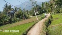 Warga Dusun Sladang Bondowoso Terancam Bahaya, Kabel Listrik Masih Ditopang Tiang Bambu Selama 10 Tahun