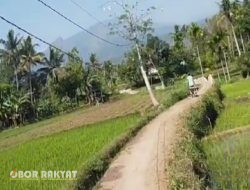 Warga Dusun Sladang Bondowoso Terancam Bahaya, Kabel Listrik Masih Ditopang Tiang Bambu Selama 10 Tahun