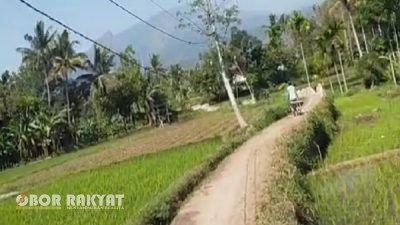 Warga Dusun Sladang Bondowoso Terancam Bahaya, Kabel Listrik Masih Ditopang Tiang Bambu Selama 10 Tahun