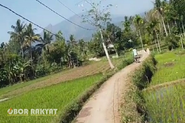 Bondowoso, Obor Rakyat – Warga Dusun Sladang, RT 01 RW 01, Desa Silolembu, Kecamatan Curahdami, Kabupaten Bondowoso, hidup dalam bayang-bayang bahaya akibat kondisi infrastruktur listrik yang sangat memprihatinkan. Hingga saat ini, kabel listrik di wilayah tersebut masih ditopang oleh tiang dari bambu, yang tidak memenuhi standar keselamatan.