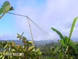Tiang Listrik dari Bambu Masih Digunakan di Beberapa Wilayah Bondowoso, Aktivis Desak Pemerintah Bertindak