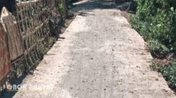 Dugaan Penyelewengan Dana Desa Petung Bondowoso: Proyek Fiktif dan Kerusakan Infrastruktur Jadi Sorotan