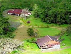 Pesona Jampit Bondowoso: Wisata Alam dan Sejarah Bernuansa Belanda yang Memikat