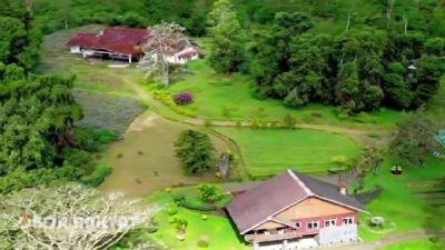 Pesona Jampit Bondowoso: Wisata Alam dan Sejarah Bernuansa Belanda yang Memikat