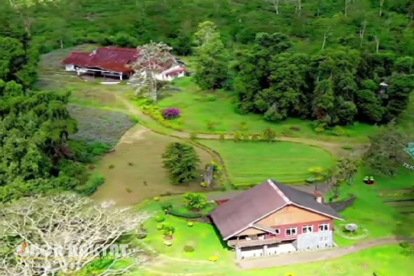 Bondowoso, Obor Rakyat – Desa Jampit di Kecamatan Ijen, Kabupaten Bondowoso, menjadi destinasi wisata yang kian diminati wisatawan lokal maupun mancanegara. Dikenal dengan panorama alam yang memukau serta peninggalan sejarah kolonial, Jampit menawarkan pengalaman wisata yang unik dan tak terlupakan.